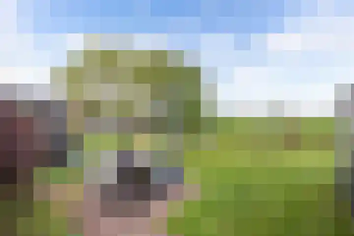 Hoofdweg 245 Nijeholtpade thumbnail 33