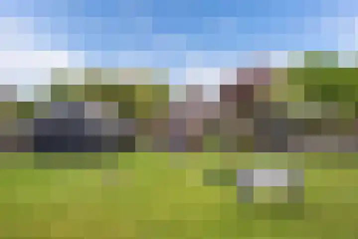 Hoofdweg 245 Nijeholtpade thumbnail 35