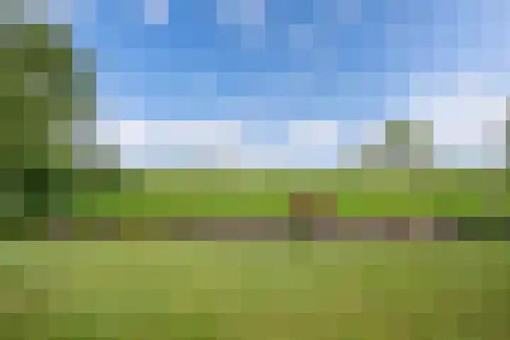 Hoofdweg 245 Nijeholtpade thumbnail 37