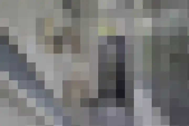 Hoofdweg 245 Nijeholtpade thumbnail 4