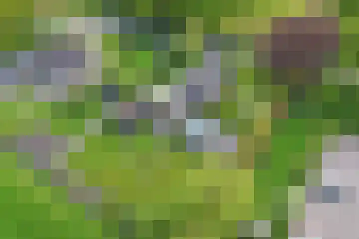 Hoofdweg 245 Nijeholtpade thumbnail 41
