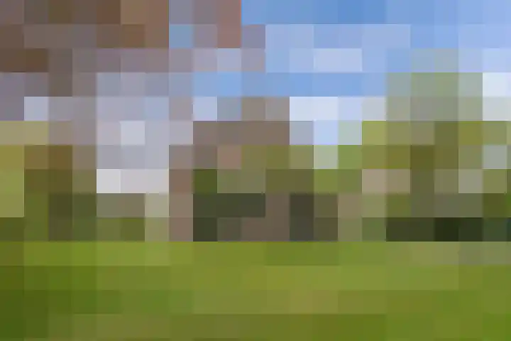 Hoofdweg 245 Nijeholtpade thumbnail 43