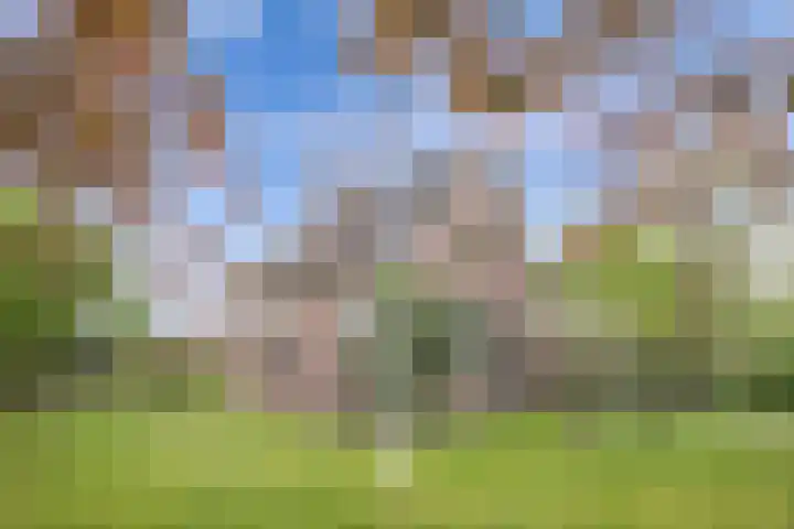 Hoofdweg 245 Nijeholtpade thumbnail 44