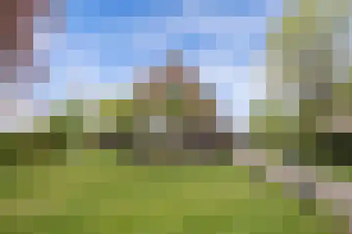 Hoofdweg 245 Nijeholtpade thumbnail 45