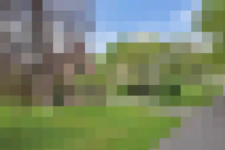 Hoofdweg 245 Nijeholtpade thumbnail 48