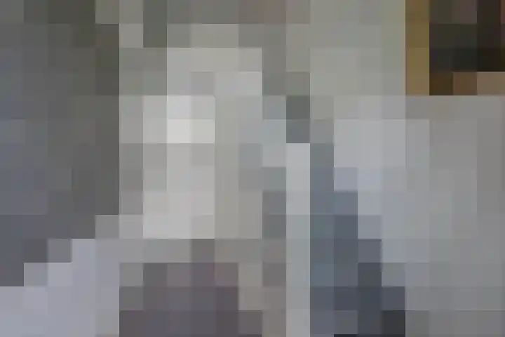 Hoofdweg 245 Nijeholtpade thumbnail 5