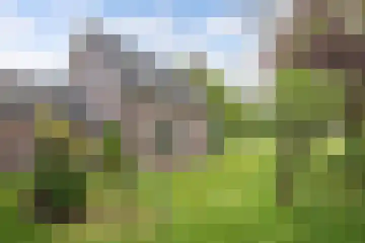 Hoofdweg 245 Nijeholtpade thumbnail 50