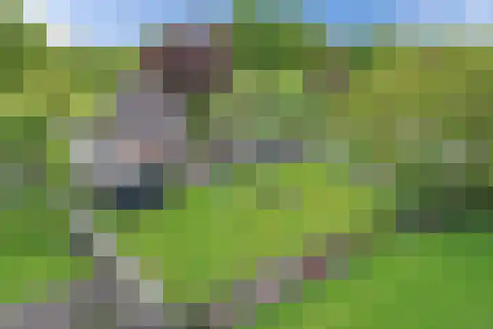 Hoofdweg 245 Nijeholtpade thumbnail 51