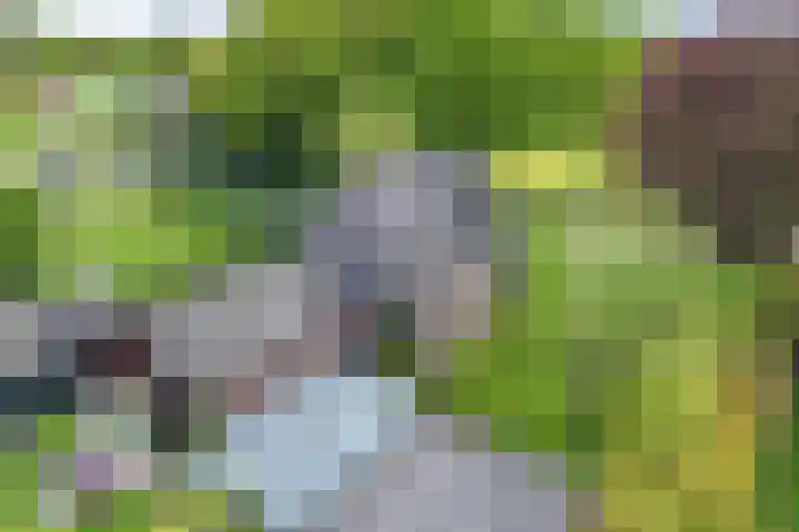 Hoofdweg 245 Nijeholtpade thumbnail 52