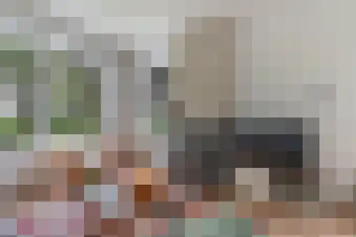 Hoofdweg 245 Nijeholtpade thumbnail 9