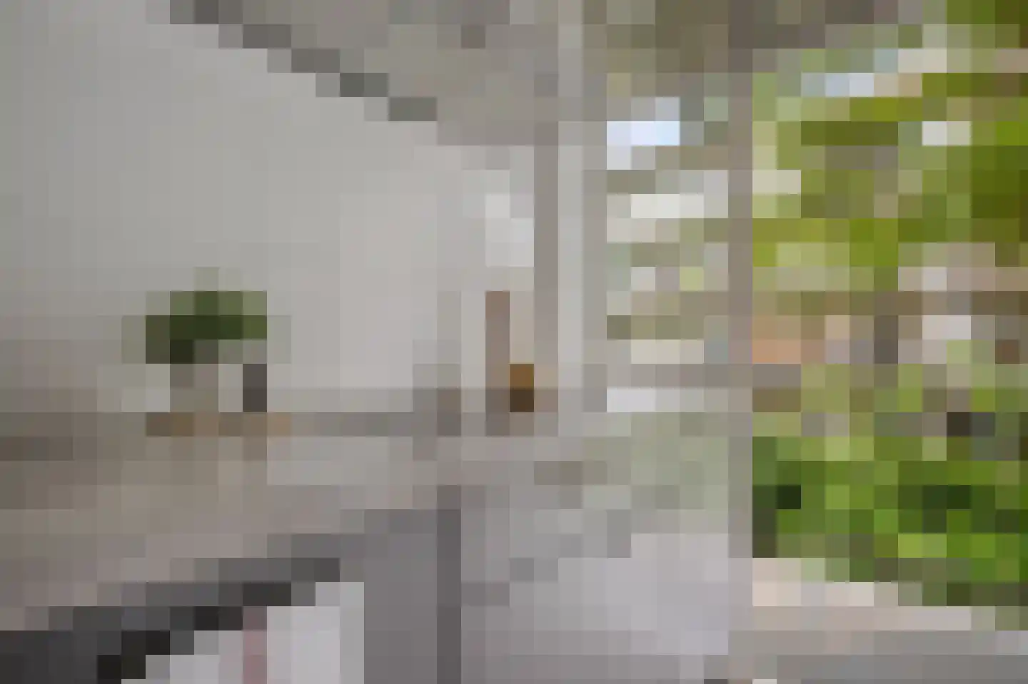 Hoofdweg 246 1 Amsterdam thumbnail 9