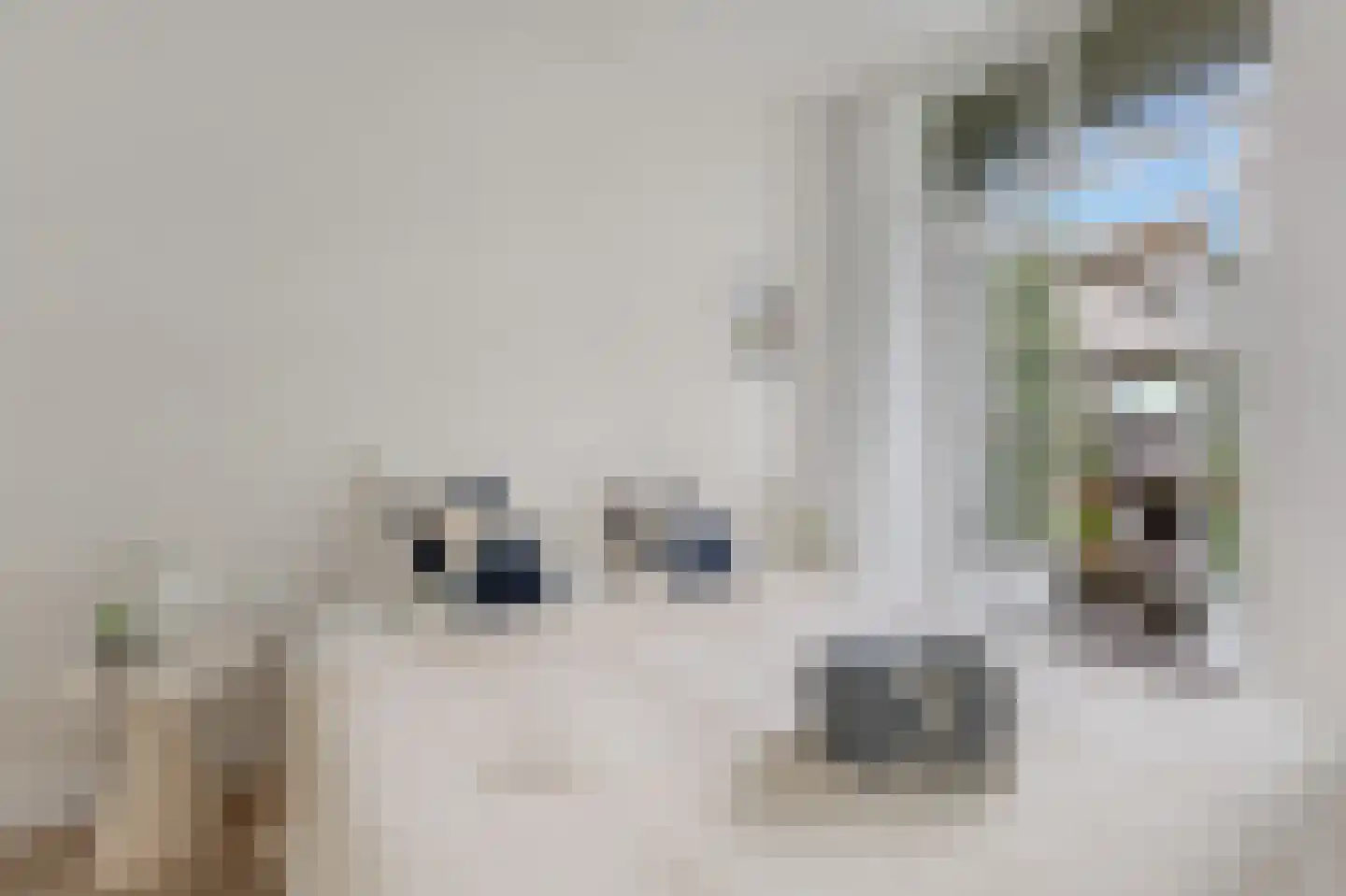 Hoofdweg 246 2 Amsterdam thumbnail 25