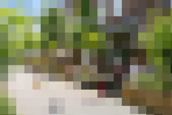 Hoofdweg 247 2 Amsterdam thumbnail 24