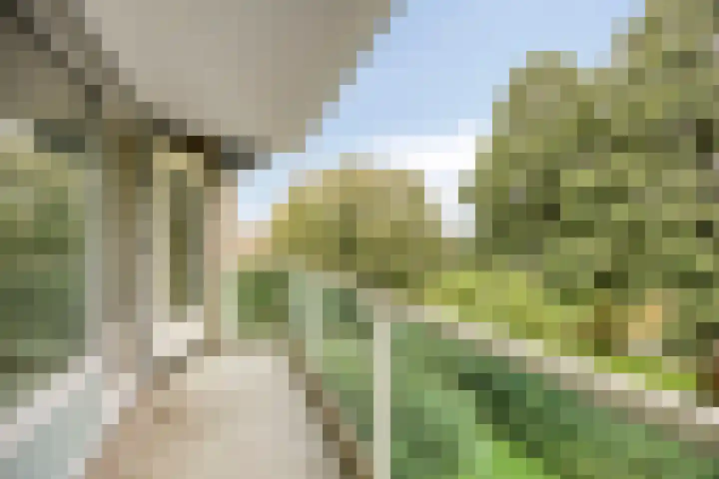 Hoofdweg 248 B Rotterdam thumbnail 6
