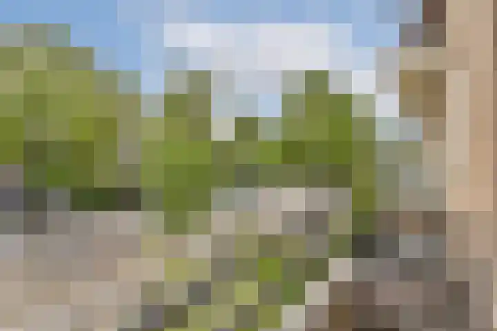 Hoofdweg 25 A 2 Amsterdam thumbnail 19