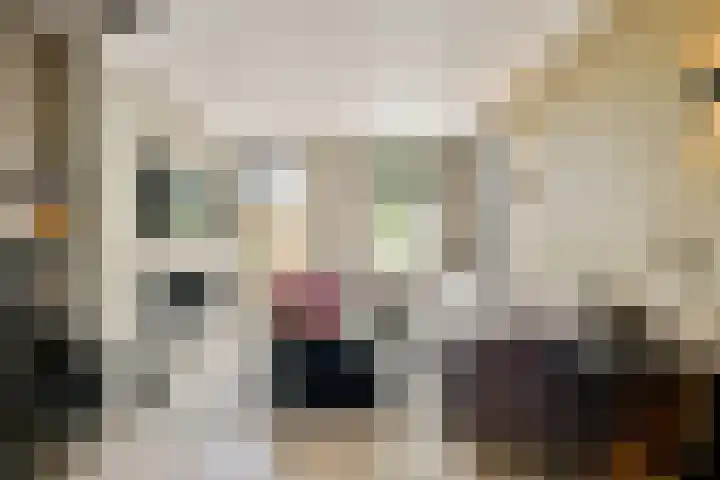 Hoofdweg 25 Lijnden thumbnail 20