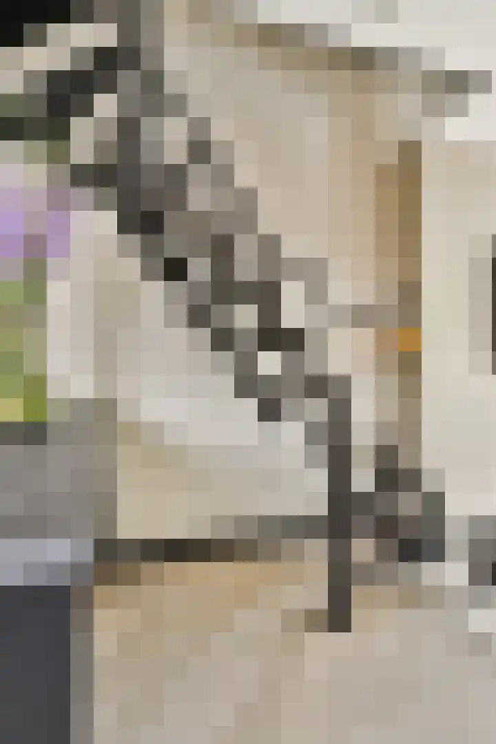 Hoofdweg 25 Lijnden thumbnail 22