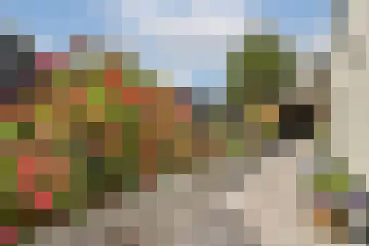 Hoofdweg 25 Lijnden thumbnail 24
