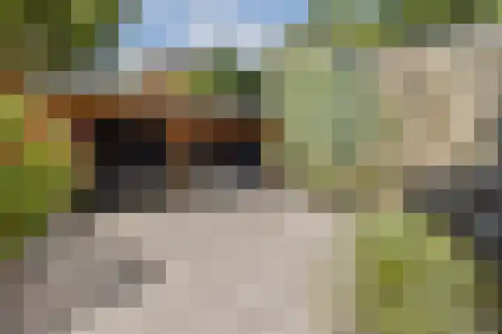 Hoofdweg 25 Lijnden thumbnail 25