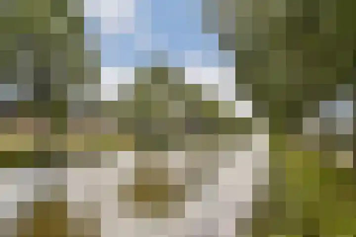 Hoofdweg 25 Lijnden thumbnail 36