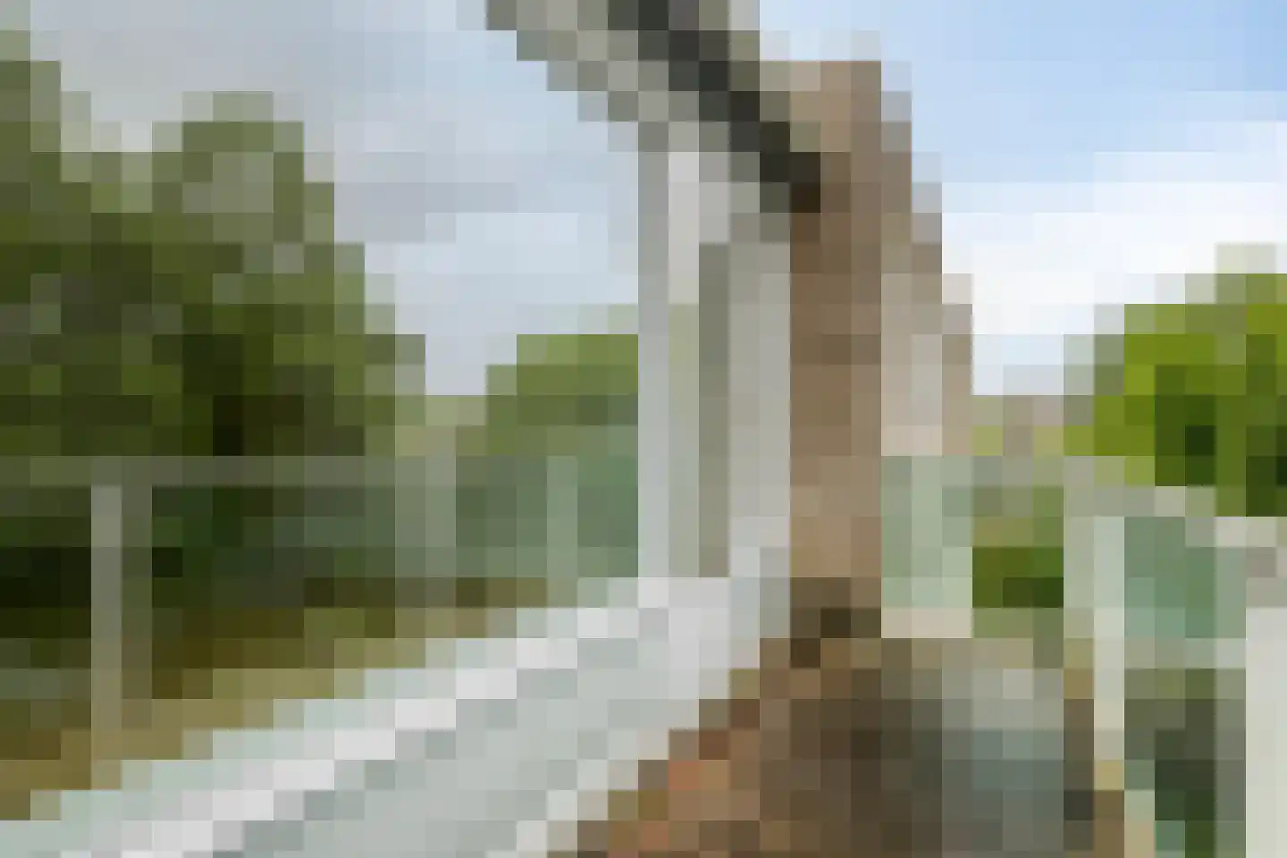 Hoofdweg 250 A Rotterdam thumbnail 7