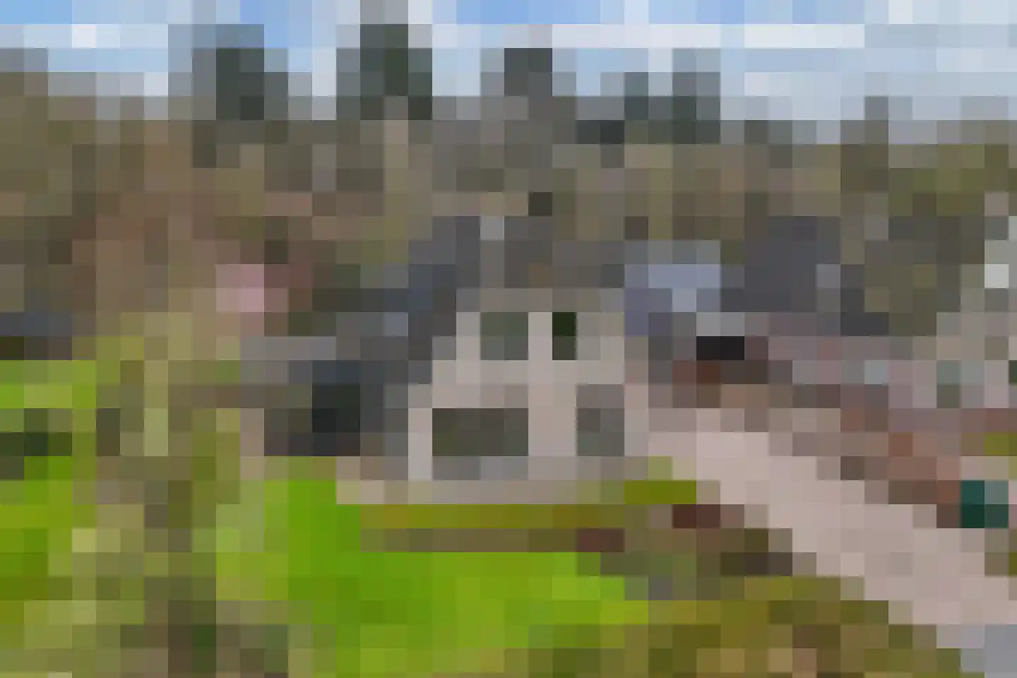 Hoofdweg 250 D Nijeholtpade thumbnail 10