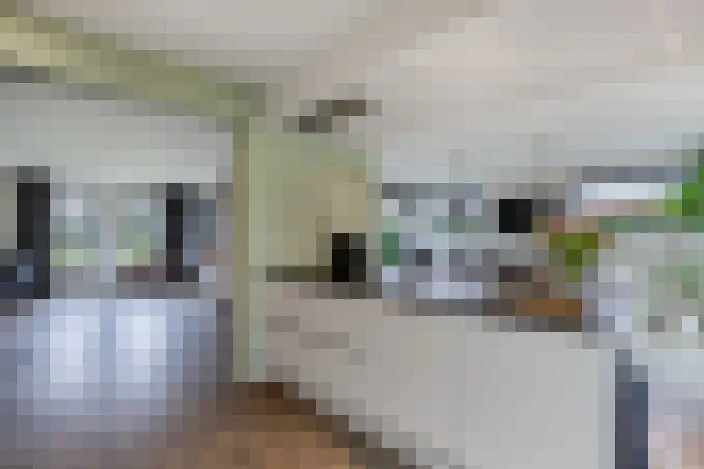 Hoofdweg 250 D Nijeholtpade thumbnail 27