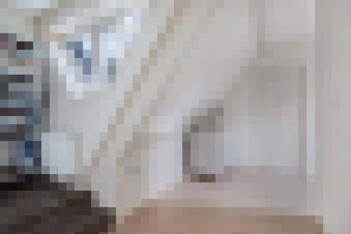 Hoofdweg 250 D Nijeholtpade thumbnail 44