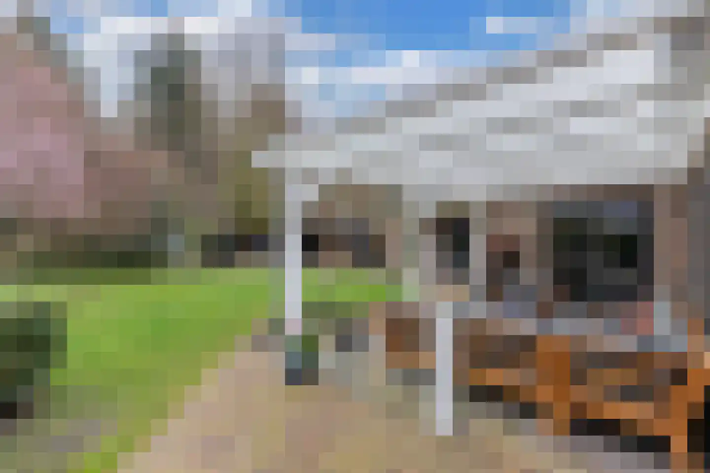 Hoofdweg 250 D Nijeholtpade thumbnail 5