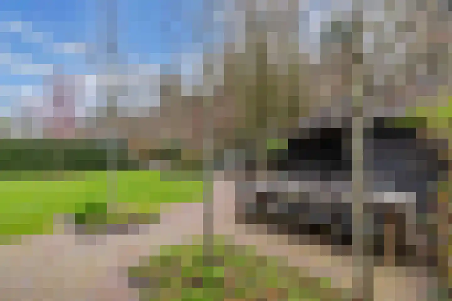 Hoofdweg 250 D Nijeholtpade thumbnail 55