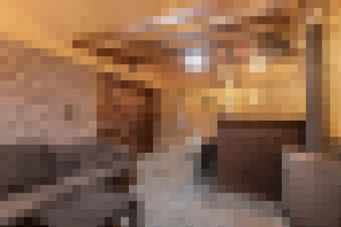 Hoofdweg 250 D Nijeholtpade thumbnail 62