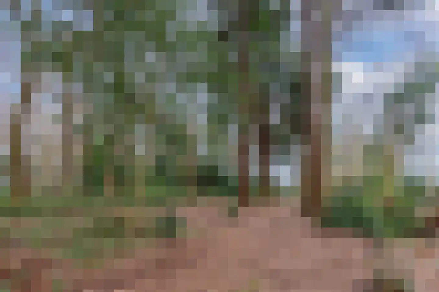 Hoofdweg 250 D Nijeholtpade thumbnail 66