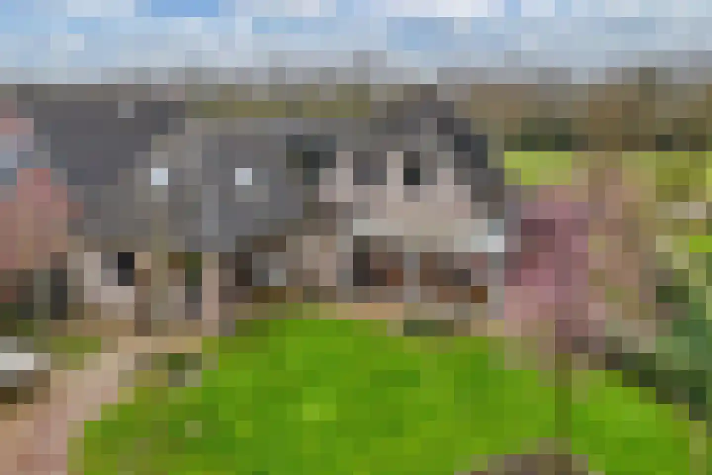 Hoofdweg 250 D Nijeholtpade thumbnail 70