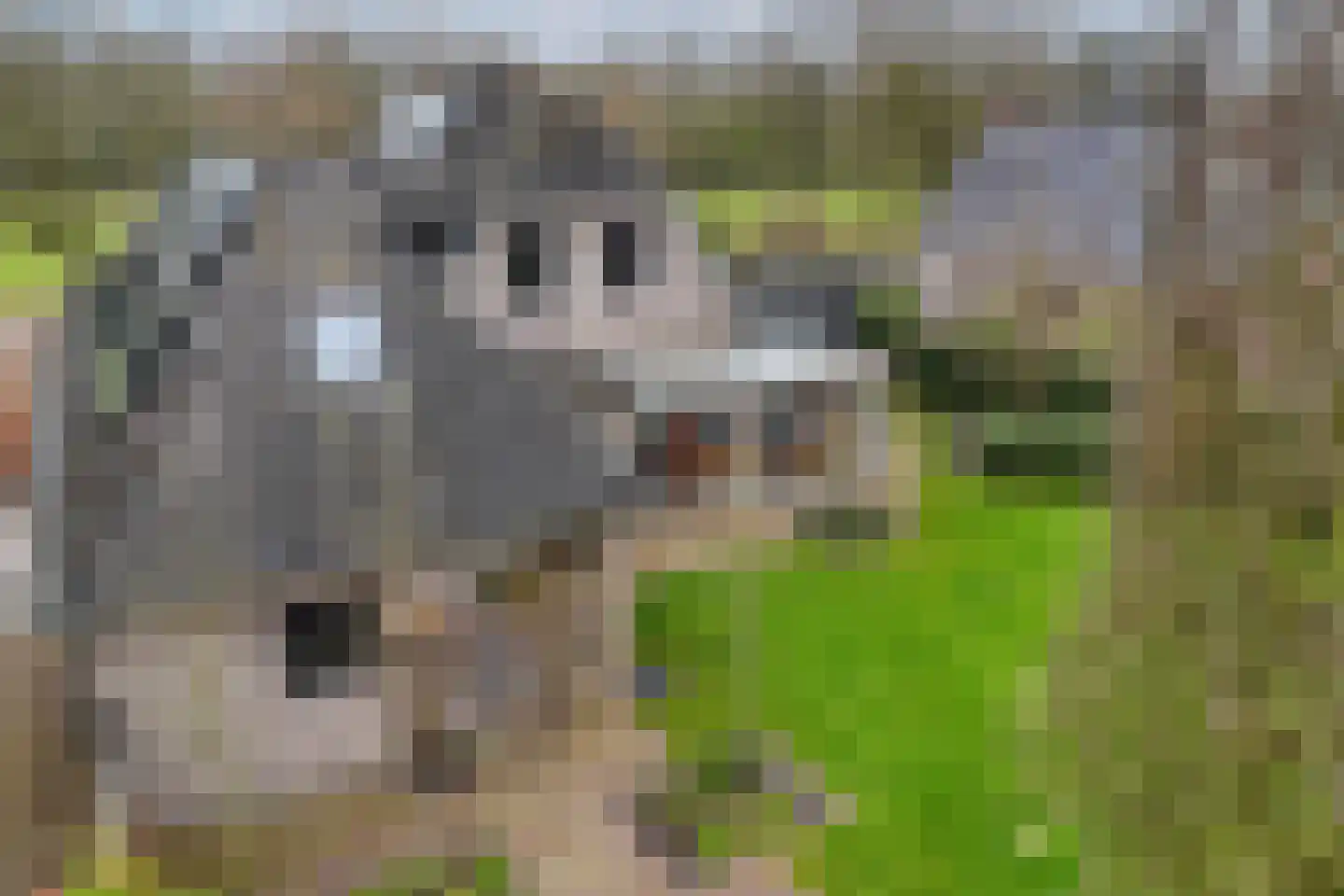 Hoofdweg 250 D Nijeholtpade thumbnail 71
