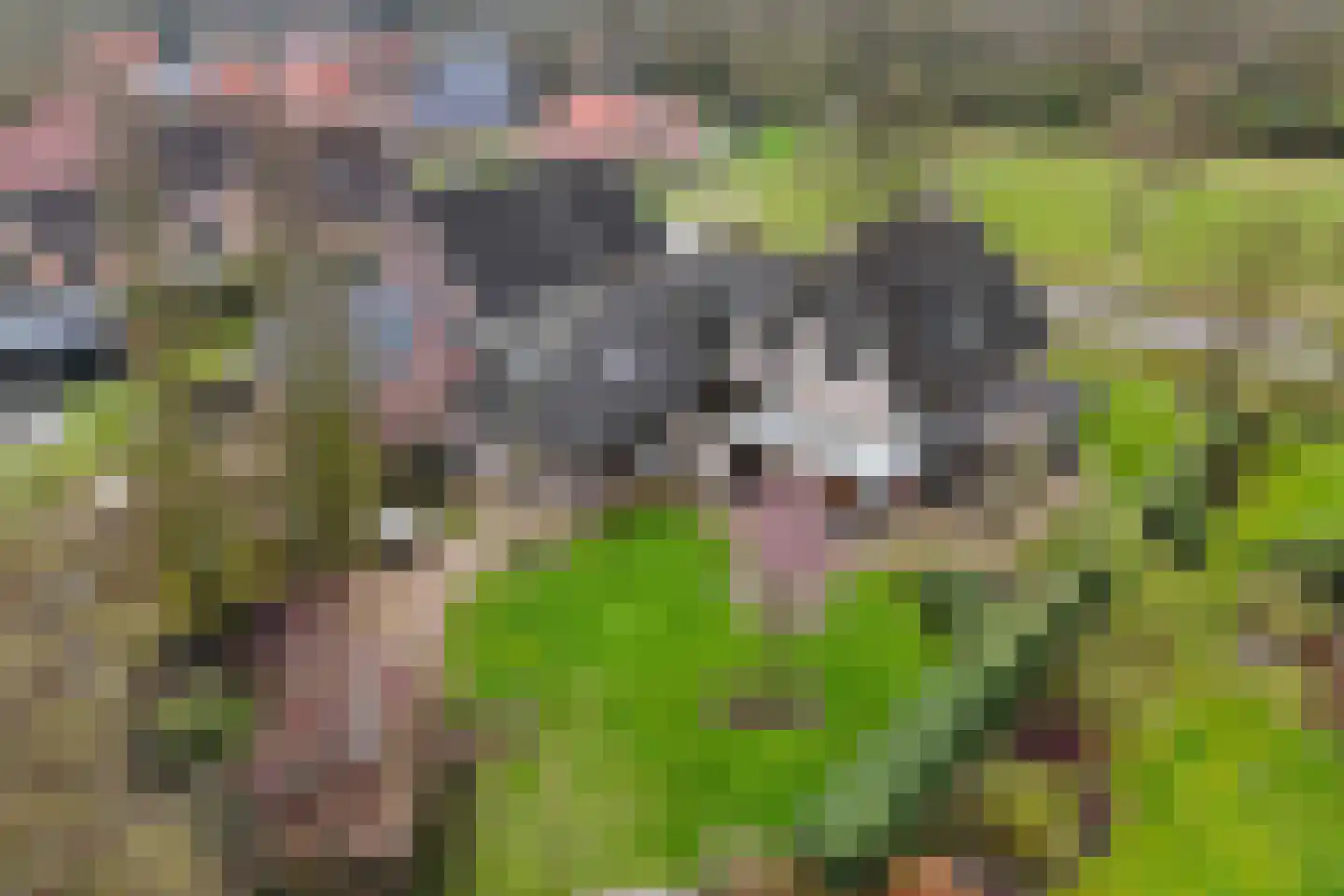 Hoofdweg 250 D Nijeholtpade thumbnail 72