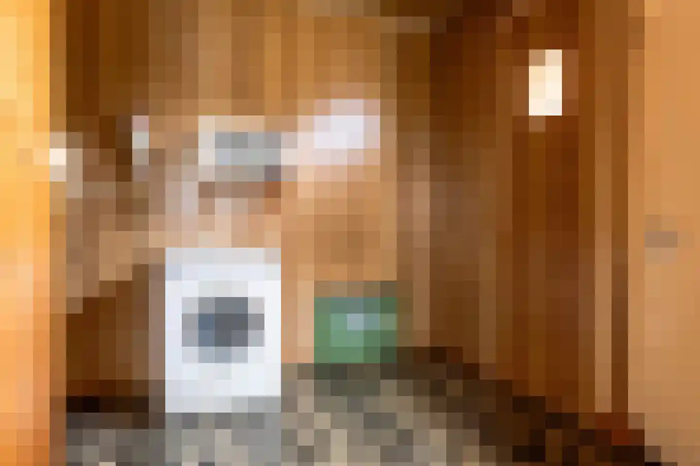 Hoofdweg 257 Slochteren thumbnail 19