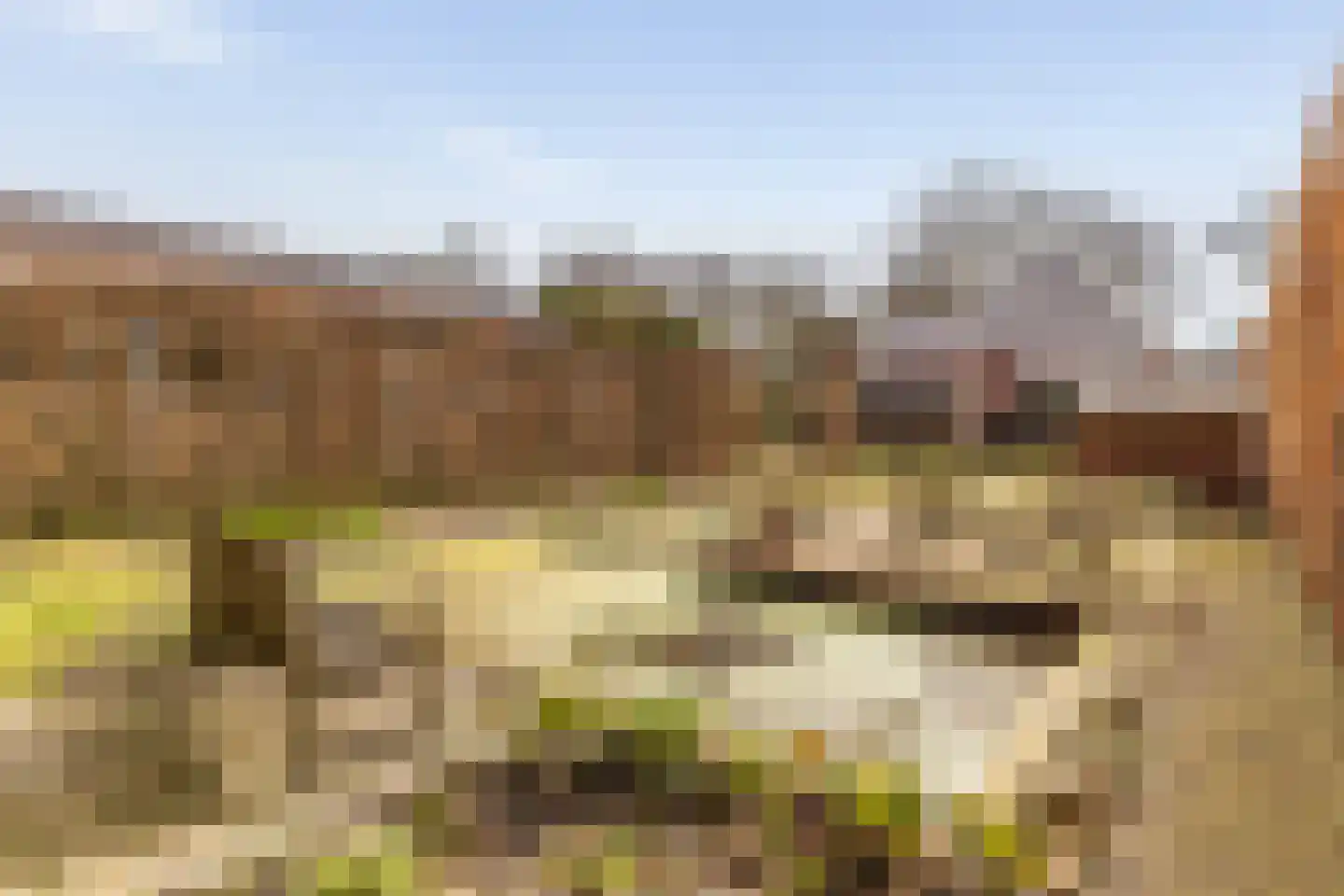 Hoofdweg 257 Slochteren thumbnail 40