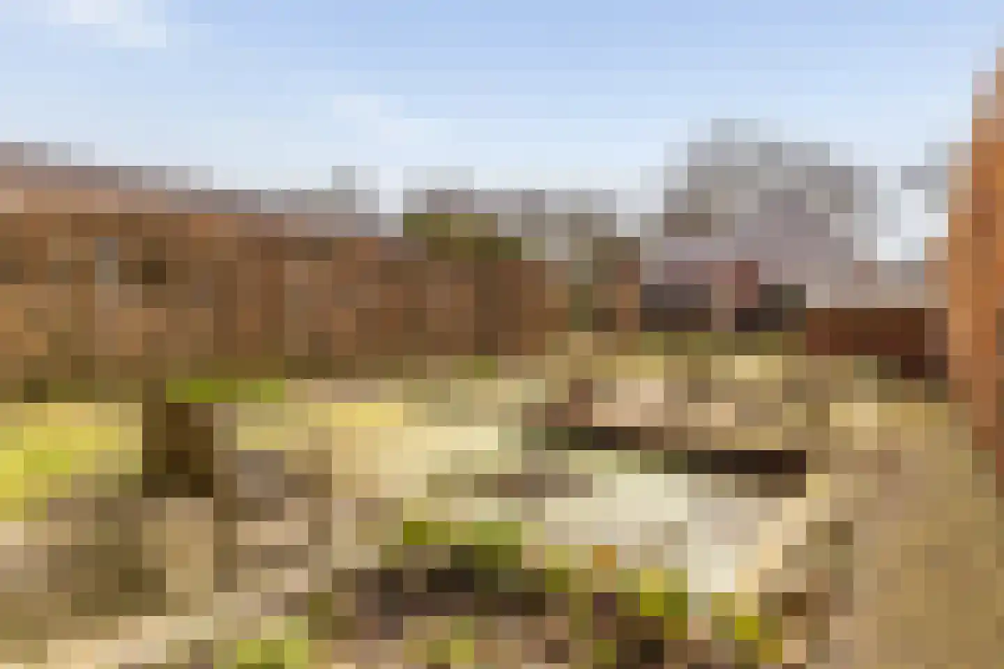 Hoofdweg 257 Slochteren thumbnail 47