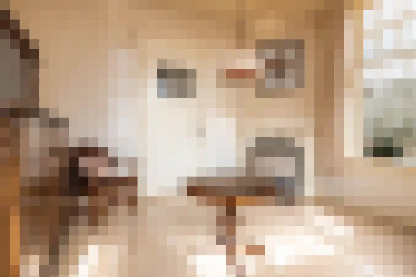 Hoofdweg 257 Slochteren thumbnail 8