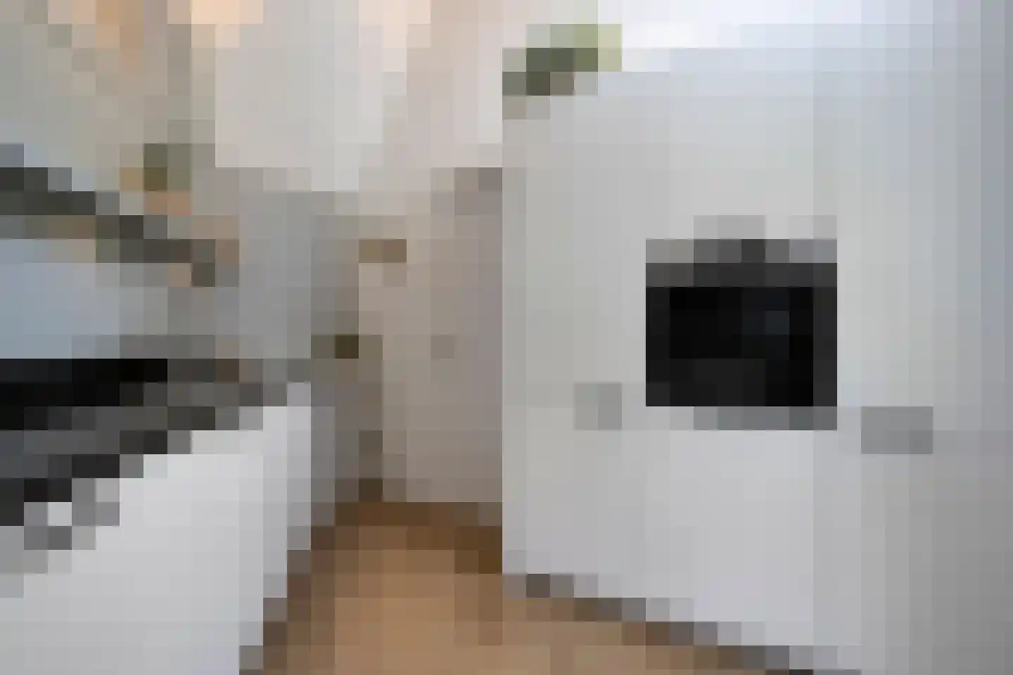 Hoofdweg 258 Nijeholtpade thumbnail 14