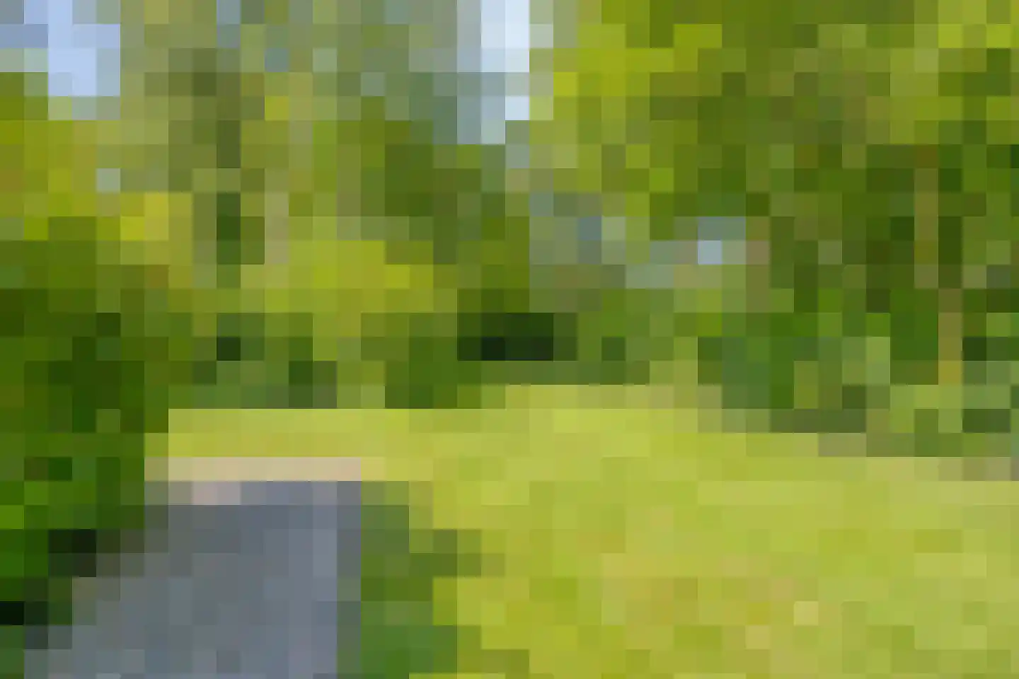 Hoofdweg 258 Nijeholtpade thumbnail 27