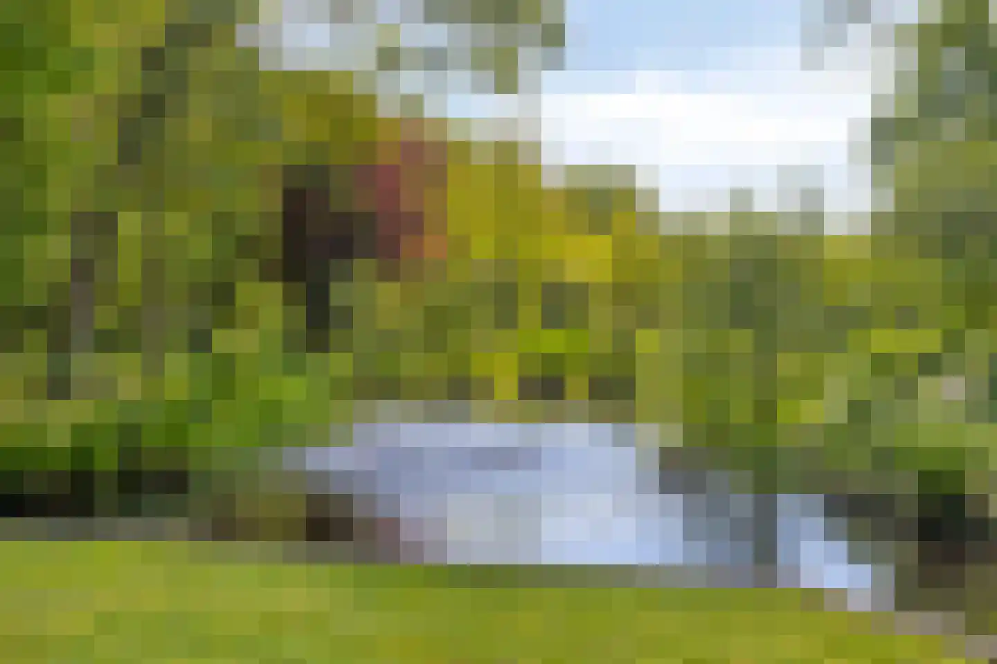 Hoofdweg 258 Nijeholtpade thumbnail 30