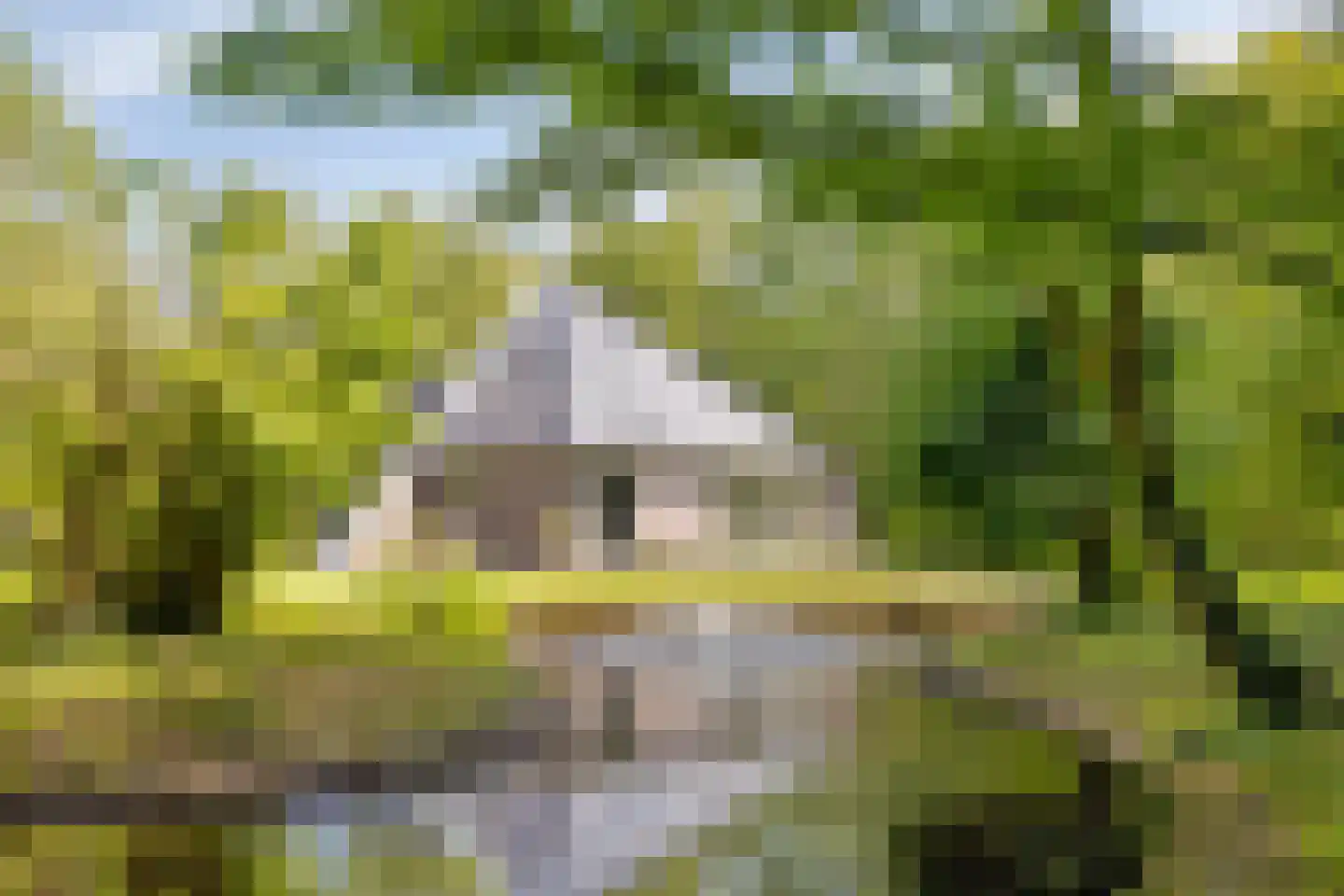 Hoofdweg 258 Nijeholtpade thumbnail 31