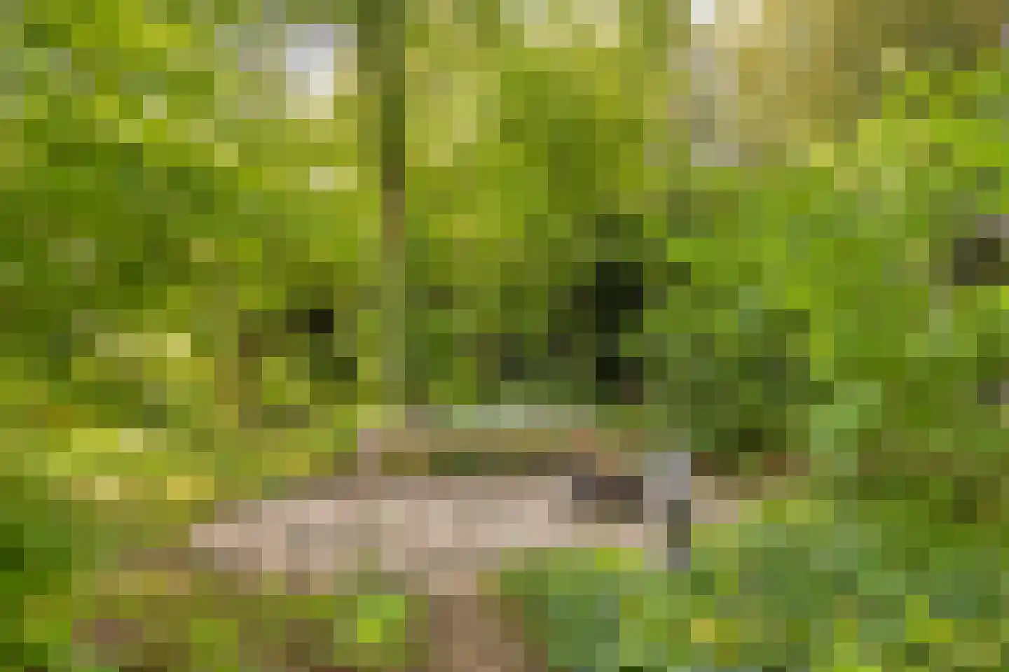 Hoofdweg 258 Nijeholtpade thumbnail 32