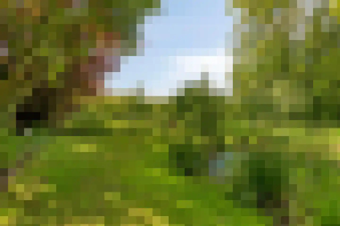 Hoofdweg 258 Nijeholtpade thumbnail 34