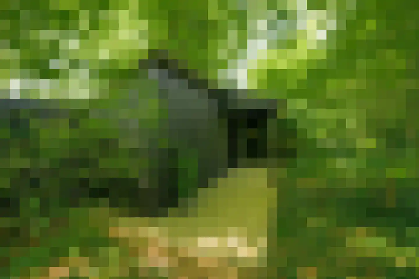 Hoofdweg 258 Nijeholtpade thumbnail 35