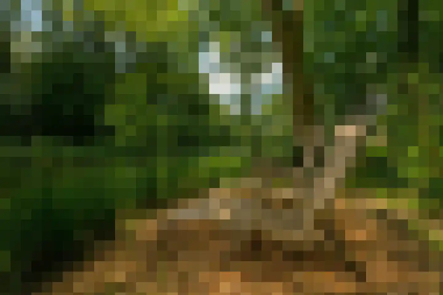Hoofdweg 258 Nijeholtpade thumbnail 36
