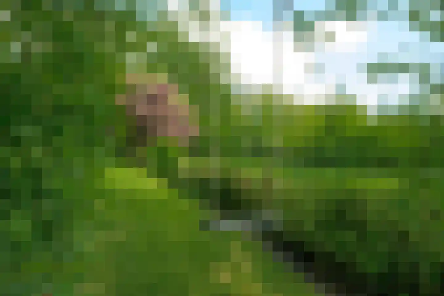Hoofdweg 258 Nijeholtpade thumbnail 37