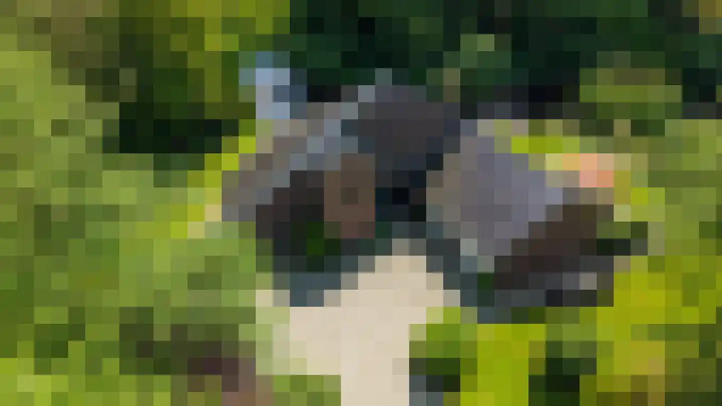 Hoofdweg 258 Nijeholtpade thumbnail 39