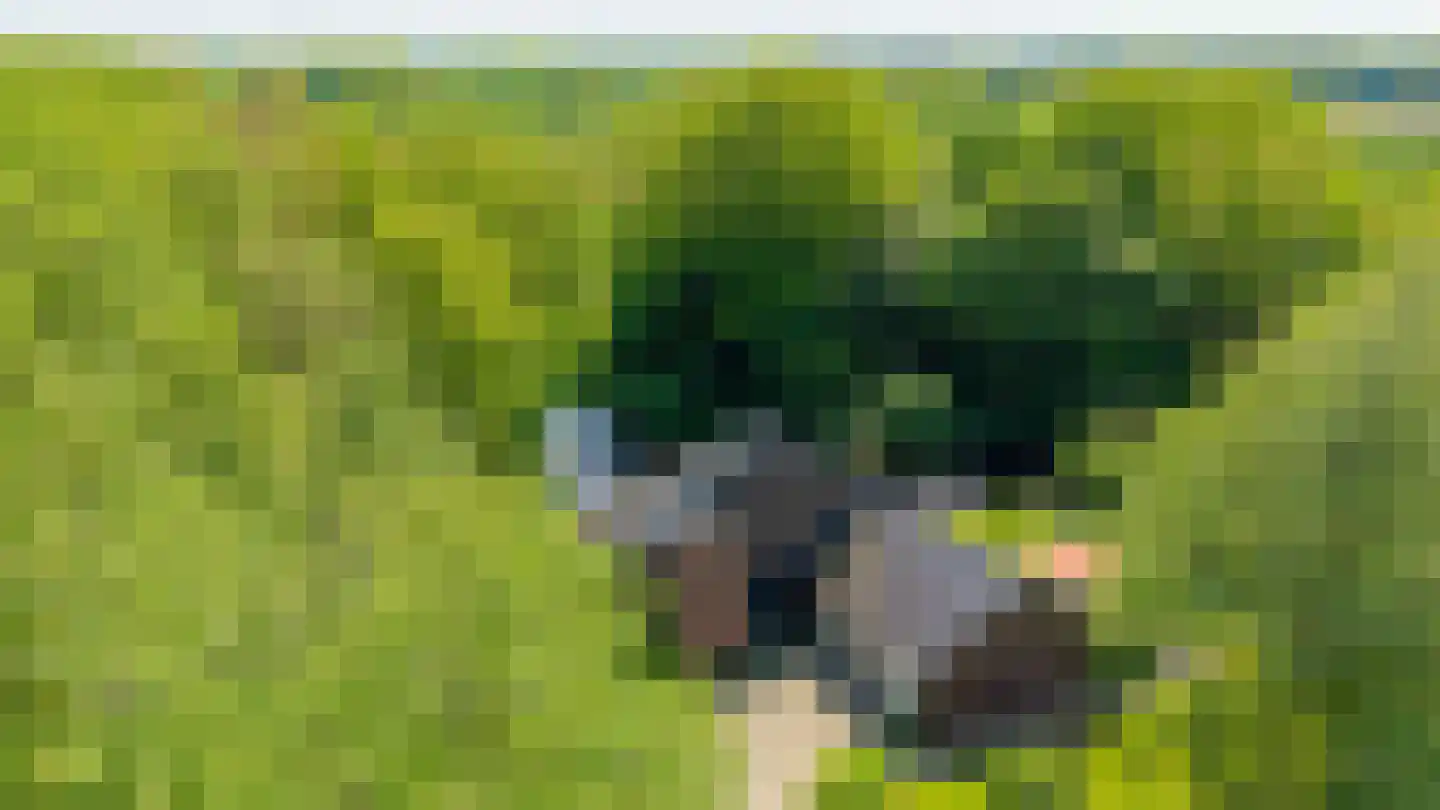 Hoofdweg 258 Nijeholtpade thumbnail 40